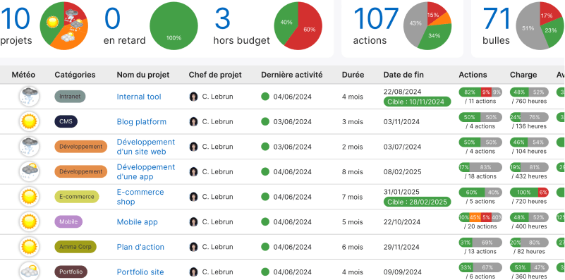 A summary of the evolution of all your project plannings in line with the Project Portfolio