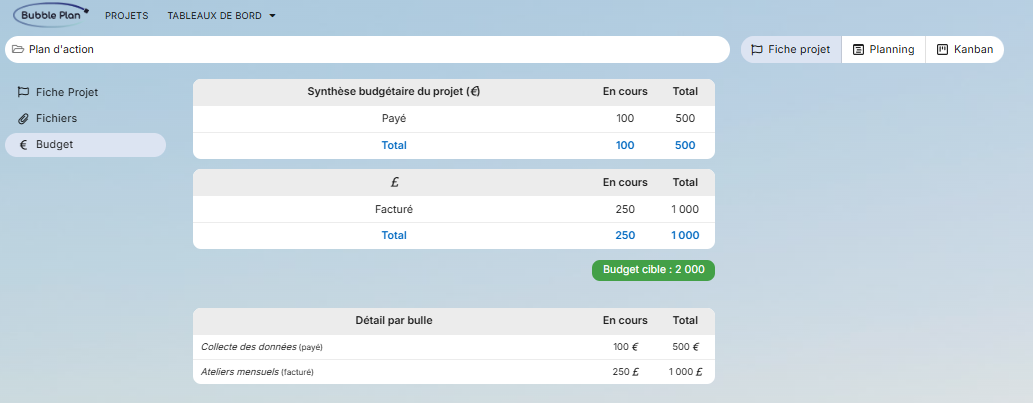 budget dans la fiche projet bubble plan