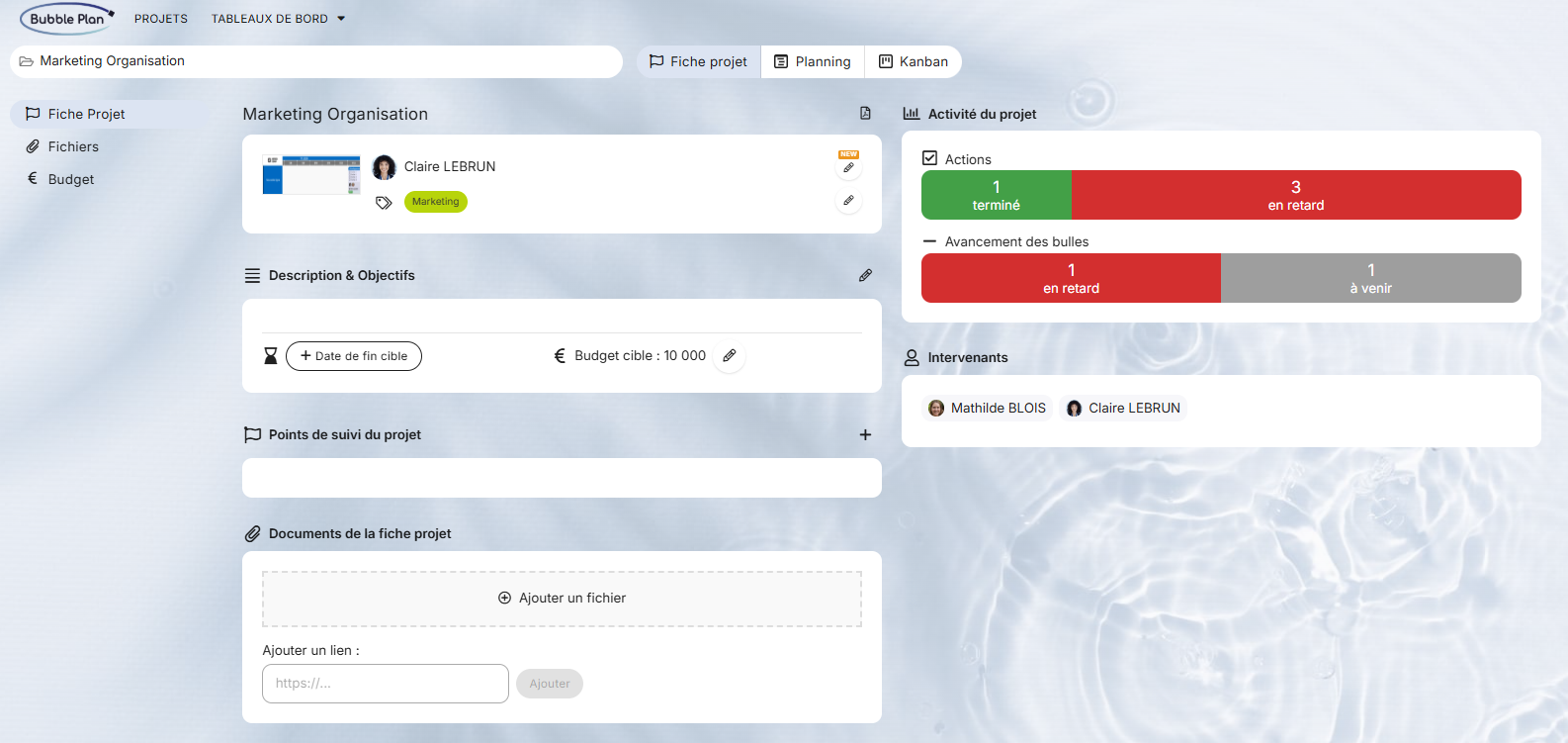 capture de la fiche projet dans bubble plan