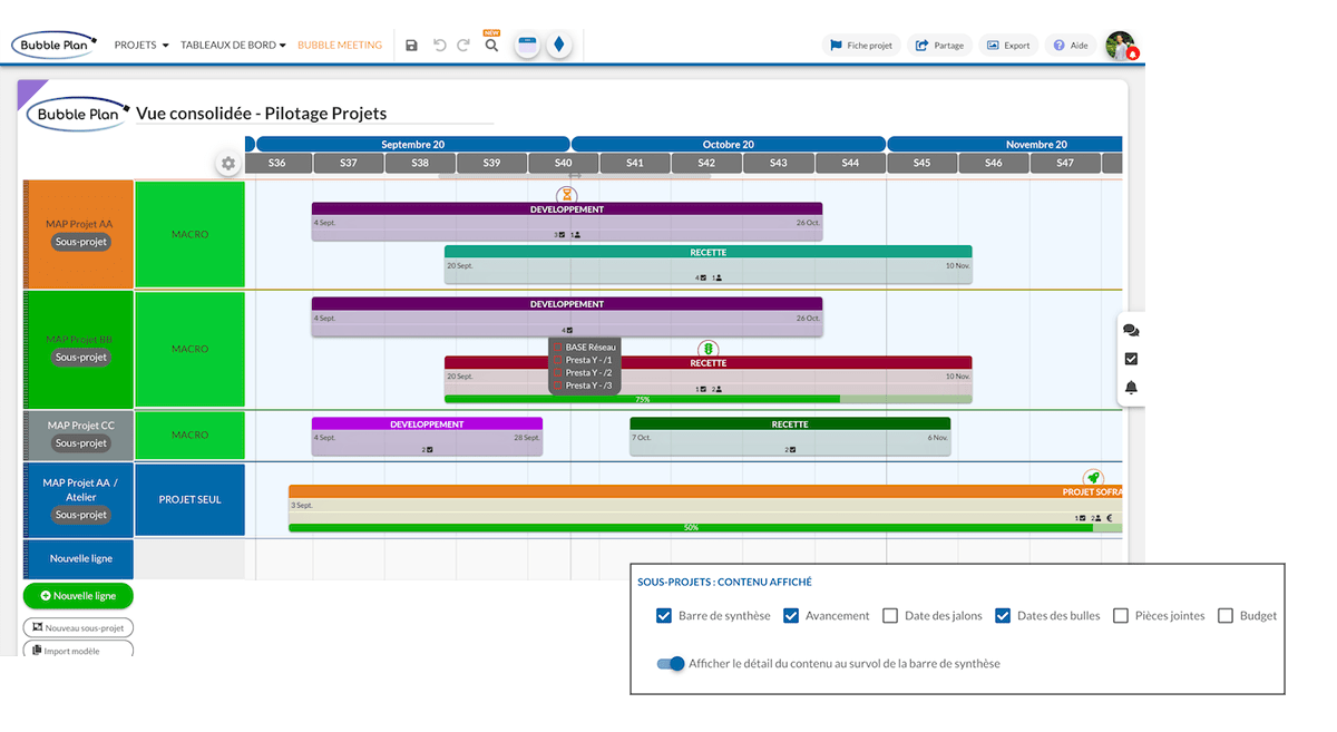 Illustration of the numerous expert options for project management in the sub-project views of the BUSINESS version